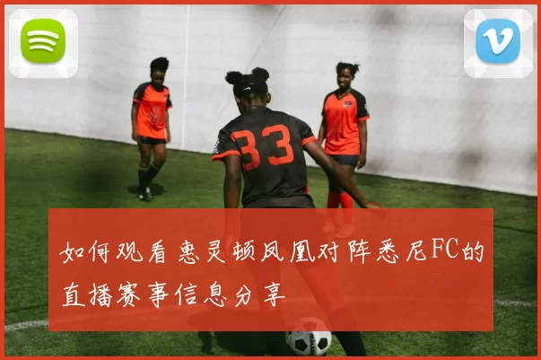 如何观看惠灵顿凤凰对阵悉尼FC的直播赛事信息分享