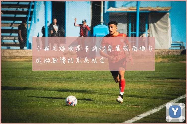 小猫足球明星卡通形象展现萌趣与运动激情的完美结合
