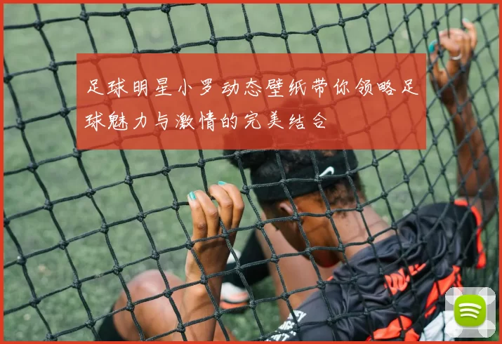 足球明星小罗动态壁纸带你领略足球魅力与激情的完美结合
