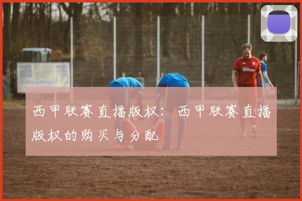 西甲联赛直播版权：西甲联赛直播版权的购买与分配