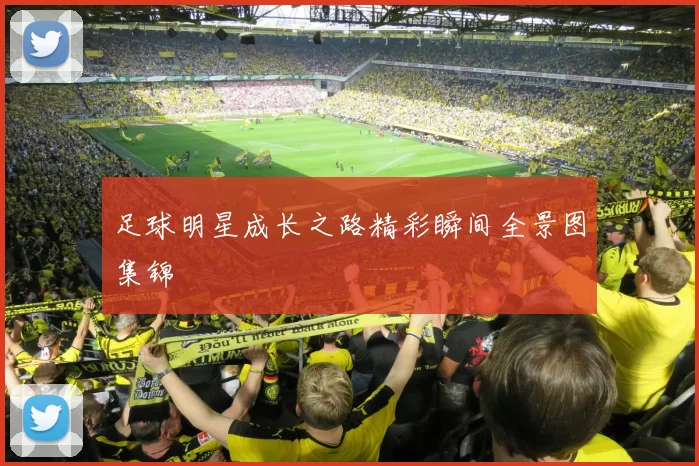 足球明星成长之路精彩瞬间全景图集锦
