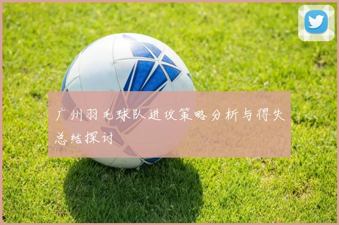 广州羽毛球队进攻策略分析与得失总结探讨