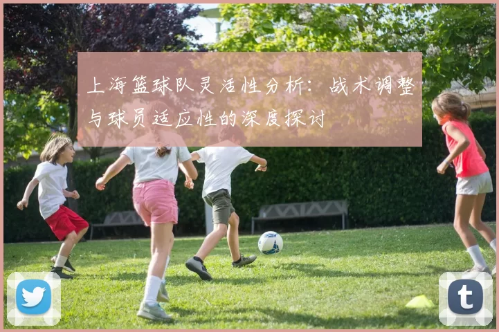 上海篮球队灵活性分析：战术调整与球员适应性的深度探讨