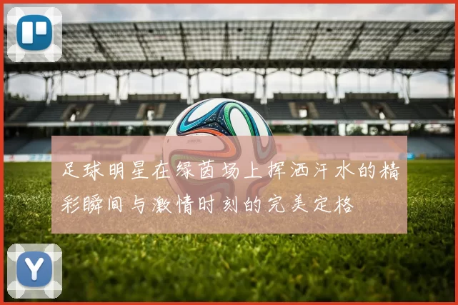足球明星在绿茵场上挥洒汗水的精彩瞬间与激情时刻的完美定格