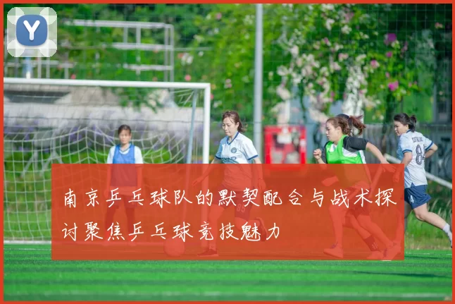 南京乒乓球队的默契配合与战术探讨聚焦乒乓球竞技魅力
