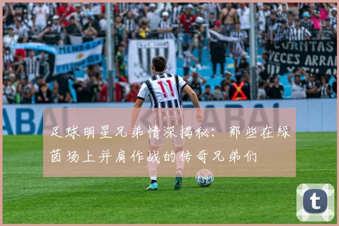 足球明星兄弟情深揭秘：那些在绿茵场上并肩作战的传奇兄弟们