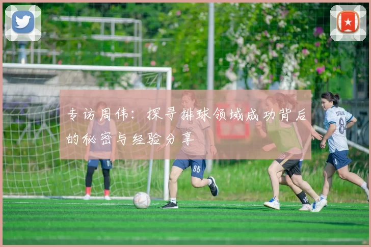 专访周伟：探寻排球领域成功背后的秘密与经验分享