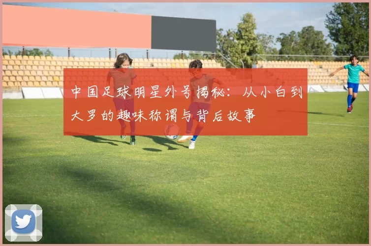 中国足球明星外号揭秘：从小白到大罗的趣味称谓与背后故事