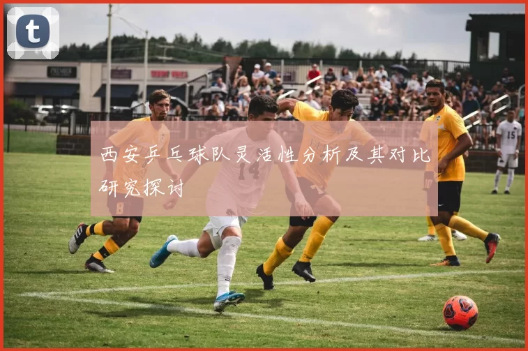 西安乒乓球队灵活性分析及其对比研究探讨