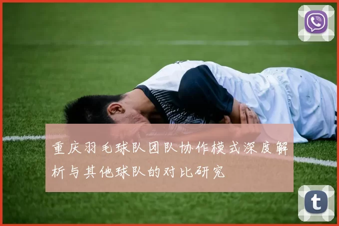 重庆羽毛球队团队协作模式深度解析与其他球队的对比研究