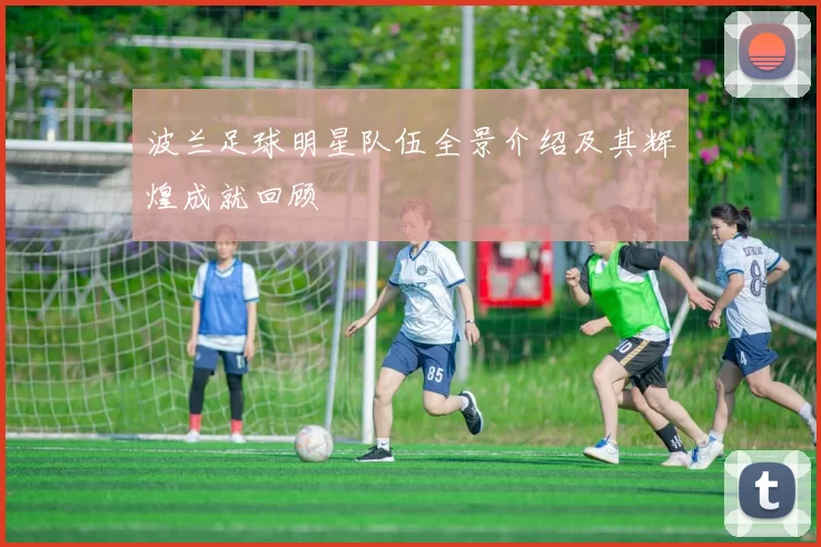 波兰足球明星队伍全景介绍及其辉煌成就回顾