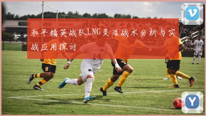 和平精英战队LNG灵活战术分析与实战应用探讨