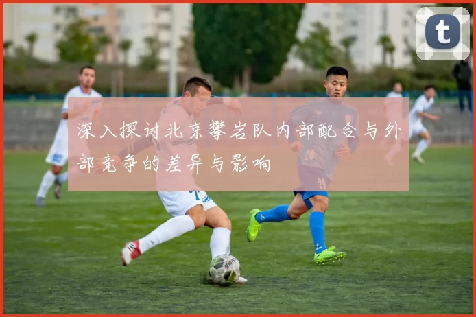 深入探讨北京攀岩队内部配合与外部竞争的差异与影响