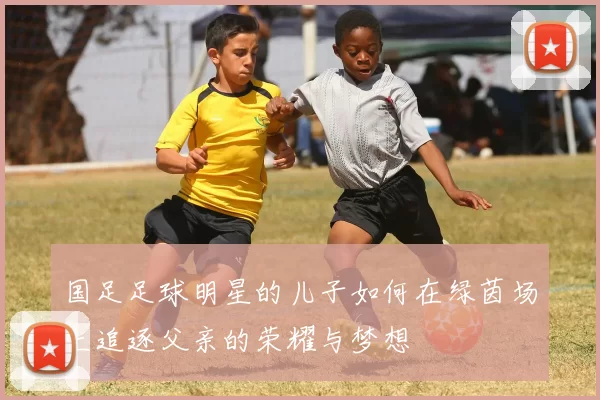 国足足球明星的儿子如何在绿茵场上追逐父亲的荣耀与梦想