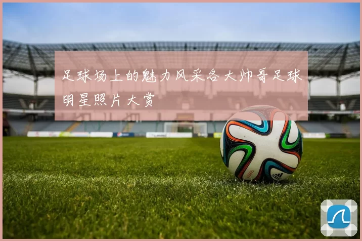足球场上的魅力风采各大帅哥足球明星照片大赏