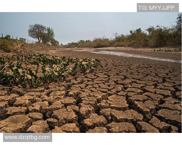 全球气候变化加剧 极端天气频发 影响各地农业生产与人民生活