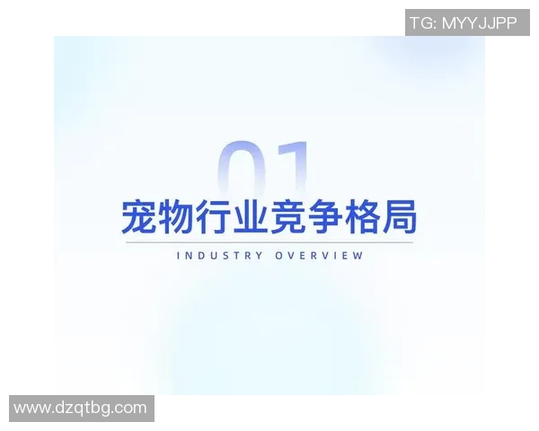 围绕国家队的建设与发展探索多元化战略路径促进国际竞争力全面提升