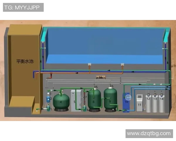 泳池水质管理与设备维护全攻略，打造安全健康的游泳环境